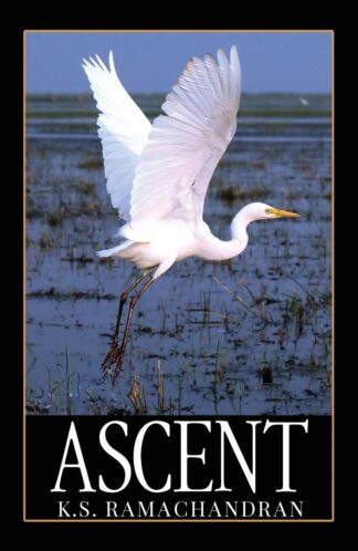 Buy Ascent Second Hand Books Online India from Used Book Store